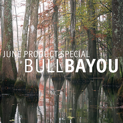 Bull Bayou